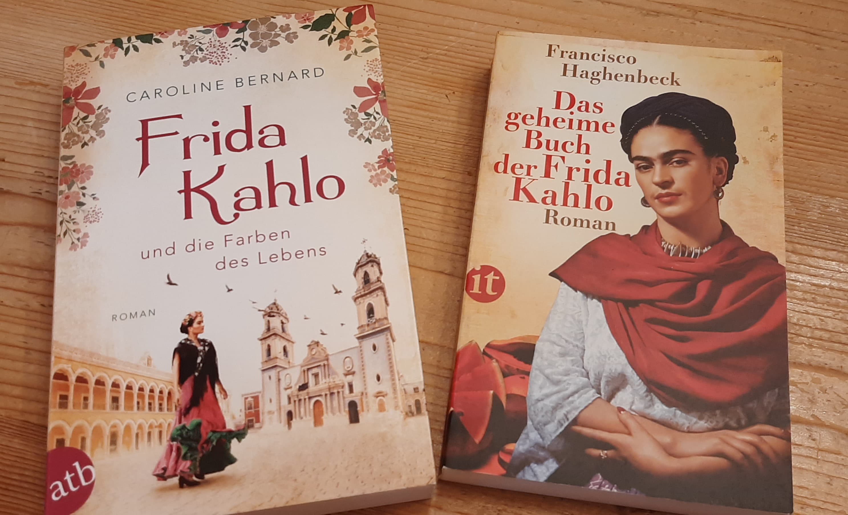 Mutige Frauen zwischen Kunst und Liebe, Band 11 Roman Frida Kahlo und die Farben des Lebens